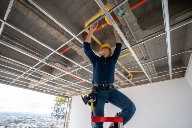 Best Local Plumber Services  in Hotchkiss, CO